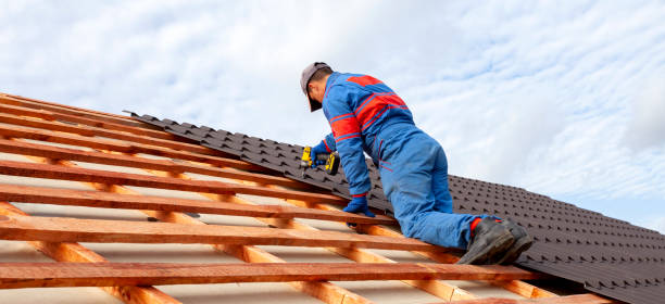 Best Chimney Flashing Repair  in Fisher, IL